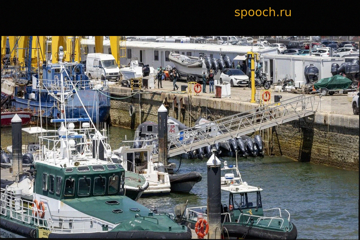 Полицейская трагедия вновь поднимает вопрос о борьбе с наркотрафиком