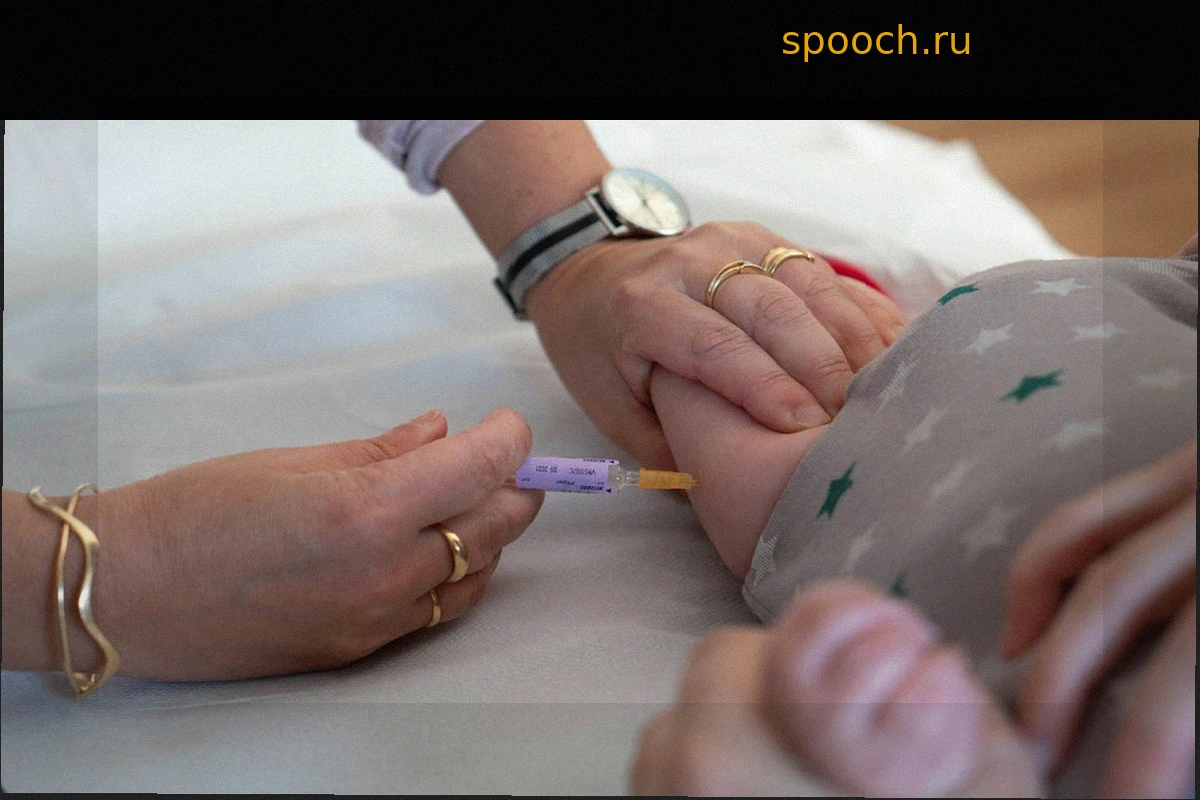 Николя Берро: «В больнице меня поразили фатализм и усталость»