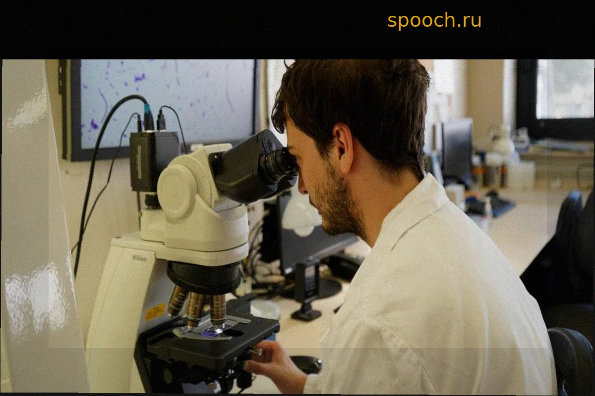 Повторяющаяся тема в экономике: рост обусловлен исключительно иммиграцией, а производительность труда стагнирует