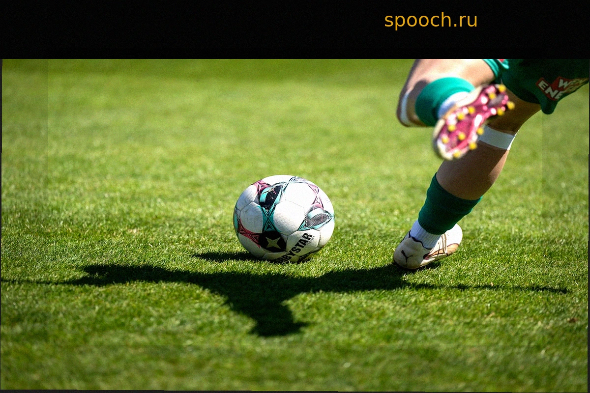 Почему спортсмены — ваш лучший кадровый резерв (и почему HR-отделы этого не замечают)